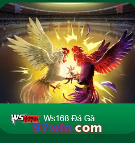97win com